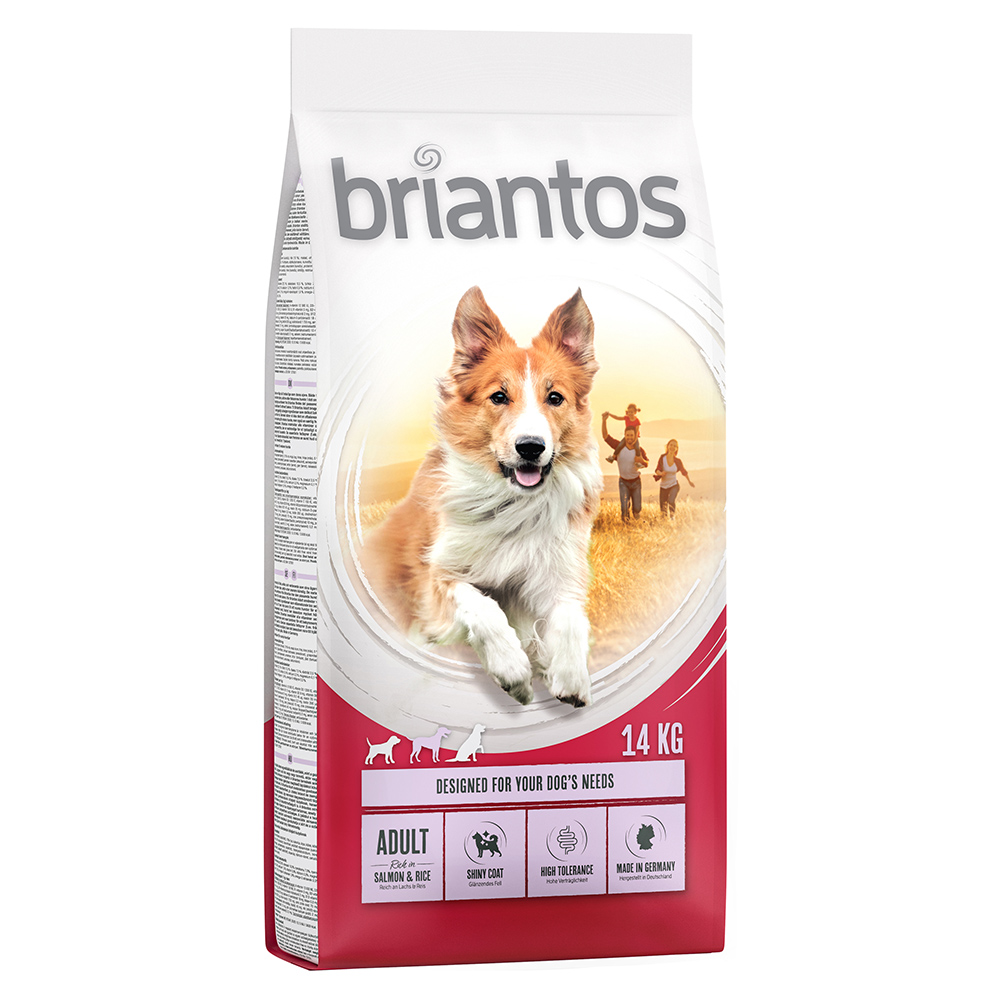 Briantos Trockenfutter 14/ 12 kg zum Sonderpreis! - Adult Lachs & Reis 14 kg von briantos