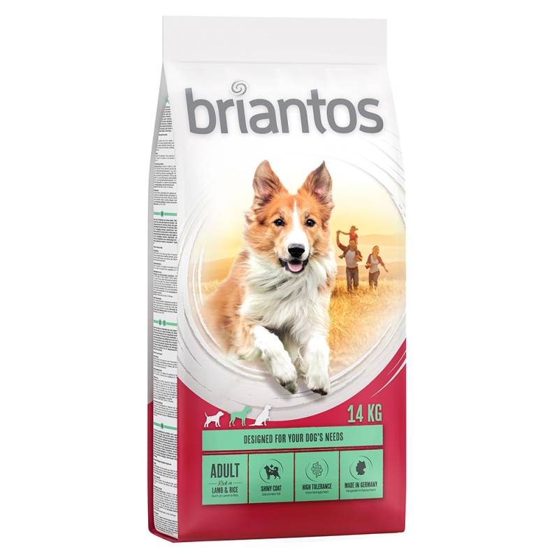 Briantos Trockenfutter 14/ 12 kg zum Sonderpreis! - Adult Lamm & Reis 14 kg von briantos