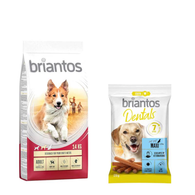 Briantos Trockenfutter 14 kg + Dental Snack Maxi GRATIS! - Adult Huhn & Reis + Dental Snack Maxi von briantos