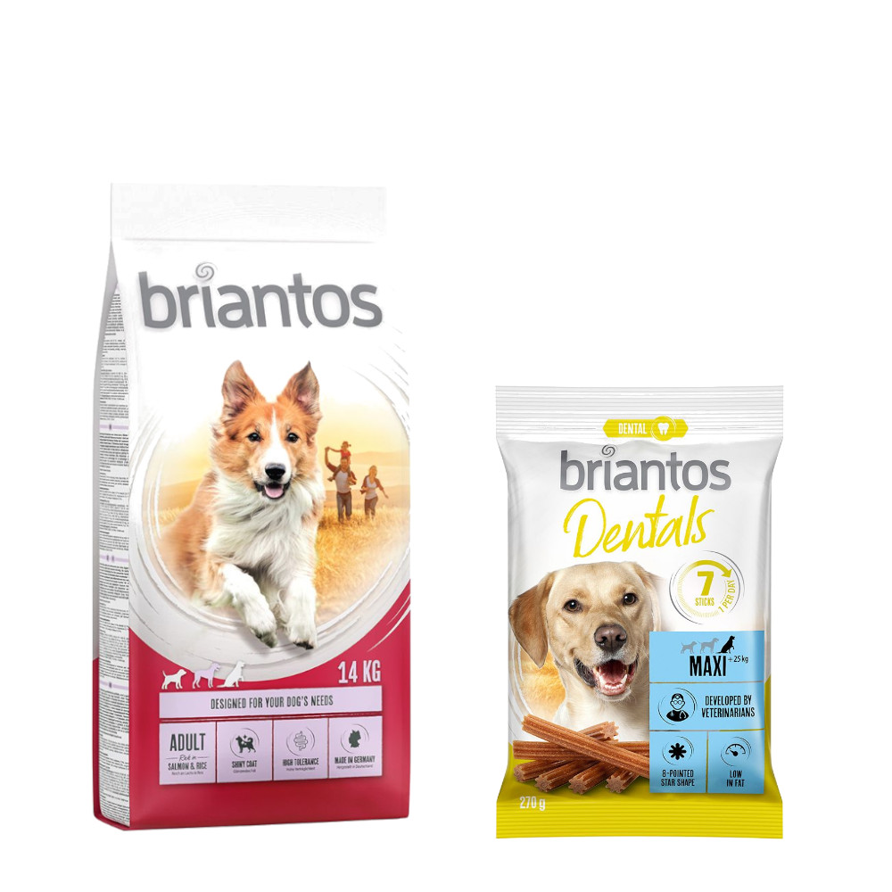 Briantos Trockenfutter 14 kg + Dental Snack Maxi GRATIS! - Adult Lachs & Reis + Dental Snack Maxi von briantos