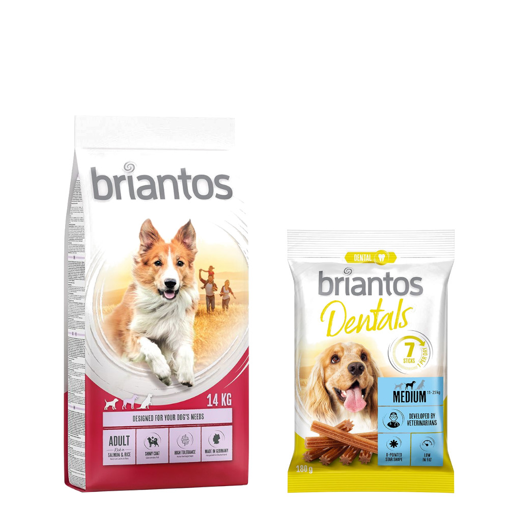 Briantos Trockenfutter 14 kg + Dental Snack Medium GRATIS! - Adult Lachs & Reis + Dental Snack Medium von briantos