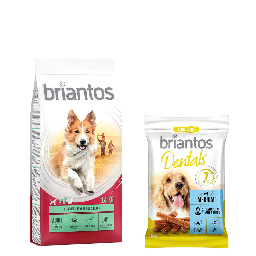 Briantos Trockenfutter 14 kg + Dental Snack Medium GRATIS! - Adult Lamm & Reis + Dental Snack Medium von briantos