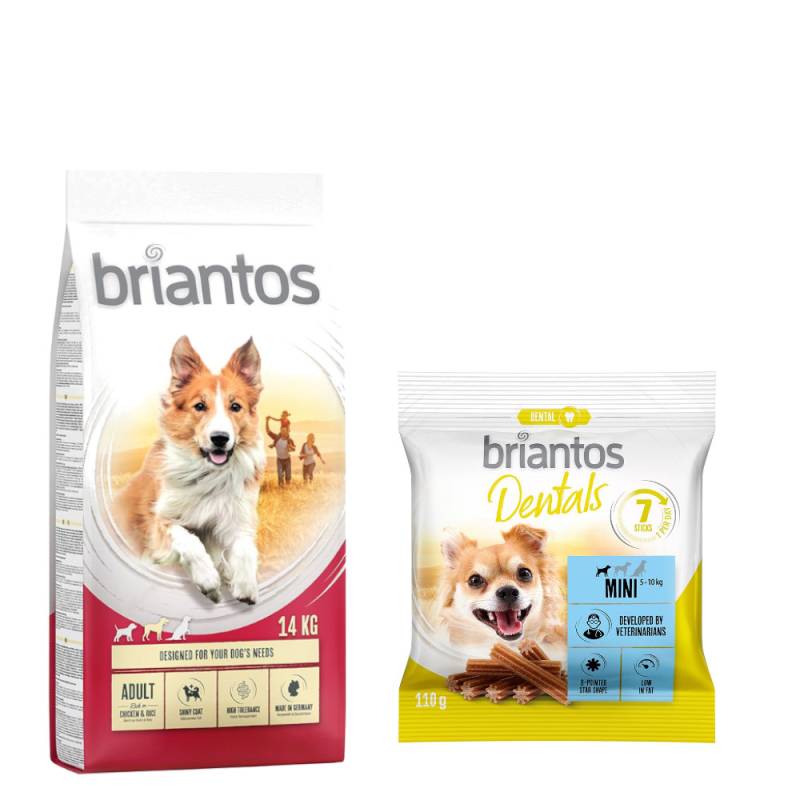 Briantos Trockenfutter 14 kg + Dental Snack Mini GRATIS! - Adult Huhn & Reis + Dental Snack Mini von briantos