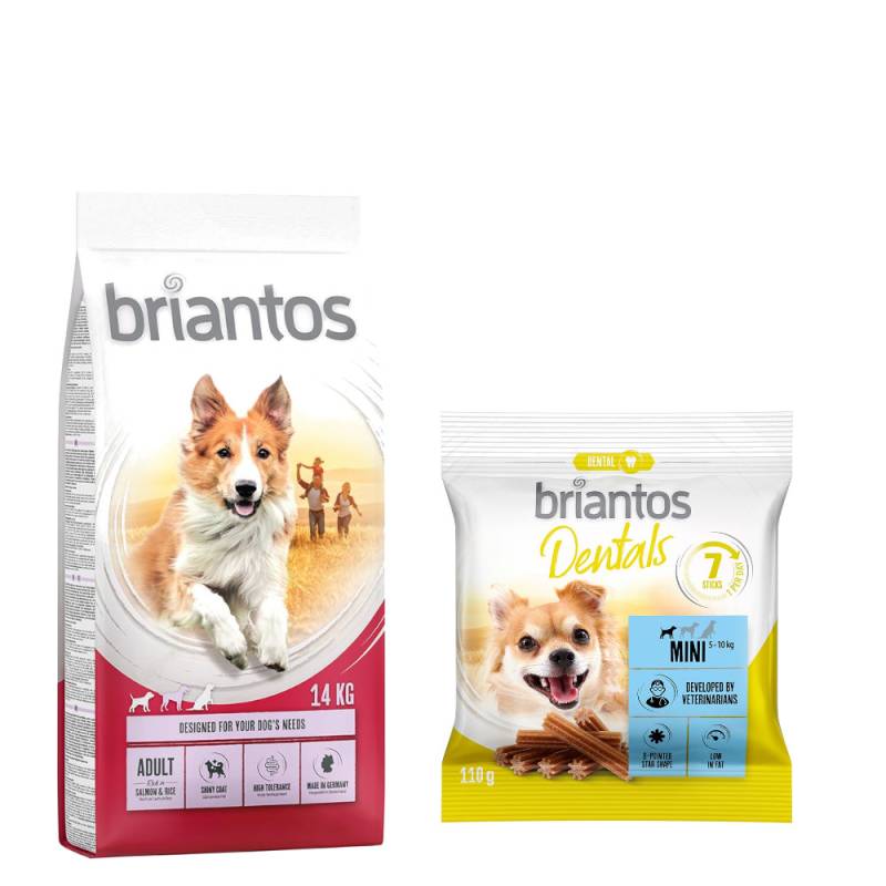 Briantos Trockenfutter 14 kg + Dental Snack Mini GRATIS! - Adult Lachs & Reis + Dental Snack Mini von briantos