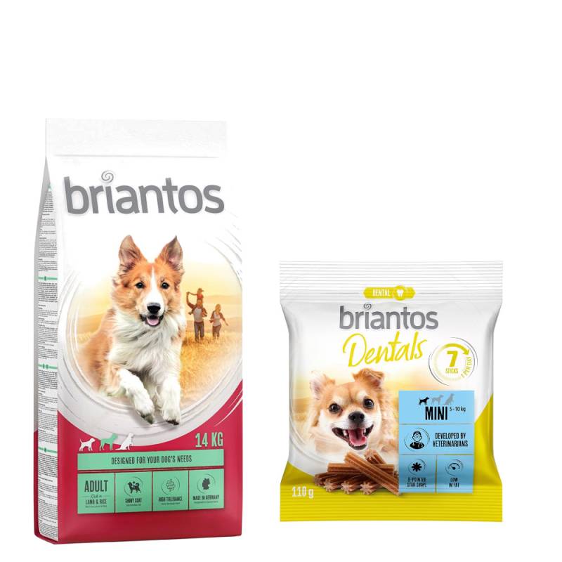 Briantos Trockenfutter 14 kg + Dental Snack Mini GRATIS! - Adult Lamm & Reis + Dental Snack Mini von briantos