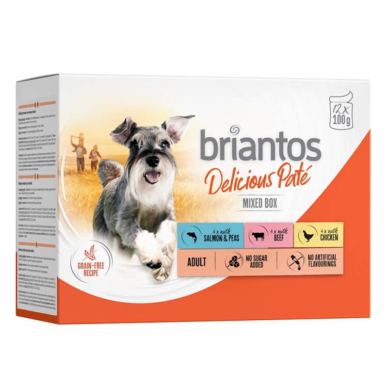 Sparpaket Briantos Delicious Paté 48 x 100 g - Mixpaket (Huhn, Rind & Lachs) von briantos