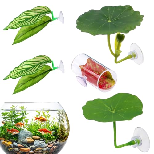 Betta Lass Die Hängematte - Betta Habitat Blätter Hängematte, dekorative Aquarienfisch-Dekoration | Set mit 5 weichen Aquarienbetten aus natürlicher Zucht, Bett zum Schlafen von Aquarien für die Dep Betta Lass Die Hängematte - Betta Habitat Blätter Hängematte, dekorative Aquarienfisch-Dekoration | Set mit 5 weichen Aquarienbetten aus natürlicher Zucht, Bett zum Schlafen von Aquarien für die Dep von brooksnaji