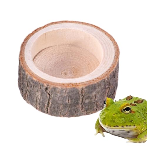 Futternapf für Schildkröten, Wassernapf für Reptilien, natürliches Holz-Design, Futterbecken für Gecko, Schildkröte, Bartagame, Einsiedlerkrebse, , Aquarium-Dekoration Futternapf für Schildkröten, Wassernapf für Reptilien, natürliches Holz-Design, Futterbecken für Gecko, Schildkröte, Bartagame, Einsiedlerkrebse, , Aquarium-Dekoration von brooksnaji