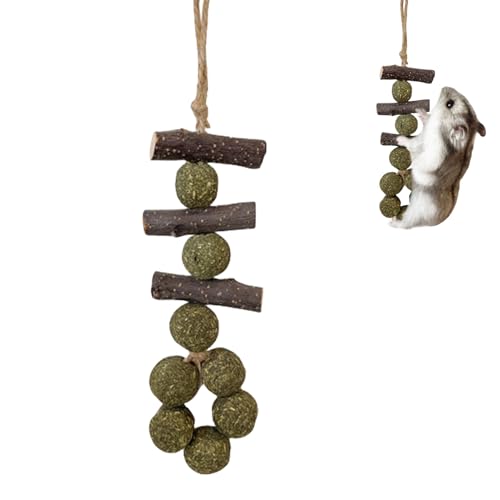 Kleines Tierkauspielzeug - Holzkauen, Chinchilla -Anreicherung Set | Apfelstock Kauert Spielzeug Mit Maiskugel Behandelt Für Kaninchen Meerschweinchen Hamster, Sichere Natürliche Mundpflegezubehör Für Kleines Tierkauspielzeug - Holzkauen, Chinchilla -Anreicherung Set | Apfelstock Kauert Spielzeug Mit Maiskugel Behandelt Für Kaninchen Meerschweinchen Hamster, Sichere Natürliche Mundpflegezubehör Für von brooksnaji
