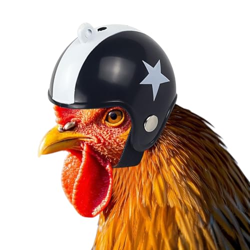 Lustiger Hühnerhut, Hühnerhelmgurt für Haustiere, Kostüm für kleine Vögel, Sicherheitskirche für einzigartige Tiere für den Innen- und Außenbereich, Access Lustiger Hühnerhut, Hühnerhelmgurt für Haustiere, Kostüm für kleine Vögel, Sicherheitskirche für einzigartige Tiere für den Innen- und Außenbereich, Access von brooksnaji