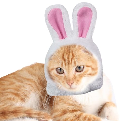 Pet Rabbit Ohrhut - Süße Katzen- Und Haustier -Kaninchen -Ohrkostüm -Hut | Cat Ostern Bunny Kostüm - Katzenkostüm -Hüte Kostüm Cosplay Dress -up Accessoires, Halloween Christmas Party Headwear Accesso von brooksnaji