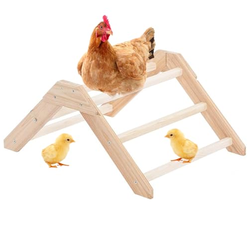 Sitzstange für Hühner für Hühnerstall | Trainingshilfe aus Holz für kleine Vögel | Perch rutschfest für Tiere Hühner Hamster Sitzstange für Hühner für Hühnerstall | Trainingshilfe aus Holz für kleine Vögel | Perch rutschfest für Tiere Hühner Hamster von brooksnaji