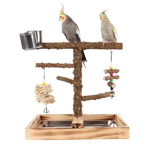 Vogel-Spielplatz, Papageien-Spielplatz mit Futterbecher, tragbares Haustiermöbel für Sittiche, Sittiche, Sittiche, Sittiche, Sittiche, Sittiche, Kanarienv Vogel-Spielplatz, Papageien-Spielplatz mit Futterbecher, tragbares Haustiermöbel für Sittiche, Sittiche, Sittiche, Sittiche, Sittiche, Sittiche, Kanarienv von brooksnaji
