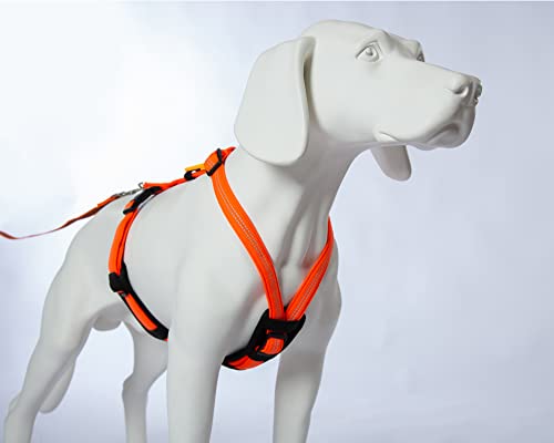 Feltmann Hundegeschirr Mantrailing/Suchgeschirr, Laufgeschirr, Joggergeschirr, Profi - Super Soft, Neonorange, reflektierend, Bauchumfang 35-50 cm, 15 mm Bandbreite von brustgeschirr.com