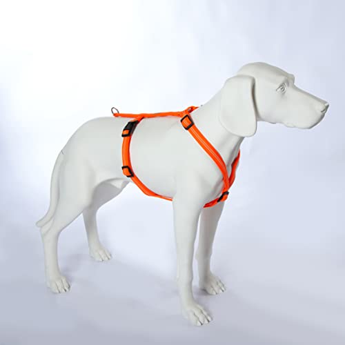 Feltmann Hundegeschirr Mantrailing/Suchgeschirr - Basic, Laufgeschirr, Joggergeschirr - Super Soft, Neonorange, reflektierend, Bauchumfang 75-100 cm, 25 mm Bandbreite von brustgeschirr.com