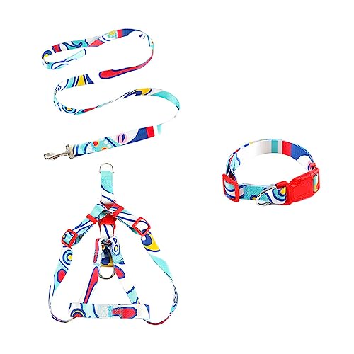 budiniao 3 Teile/Kit Haustier Halsband Leine Print Einstellbar Kleine Große Haustiere Outdoor Walking Geschirr Waschbar Personalisiertes Geschenk, Blau,2x120cm, L von budiniao