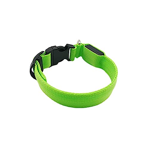 budiniao Haustier Halsband LED Haustier einstellbar Leuchtend Auto Anti verlorene Halsbänder Zubehör Sicherheit Wanderaktivitäten USB für Tag und Nacht, Batterie Grün, S von budiniao