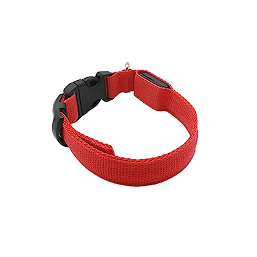 budiniao Haustier Halsband LED Haustier einstellbar Leuchtend Auto Anti verlorene Halsbänder Zubehör Sicherheit Wanderaktivitäten USB für Tag und Nacht, Wiederaufladbar Rot, XS von budiniao