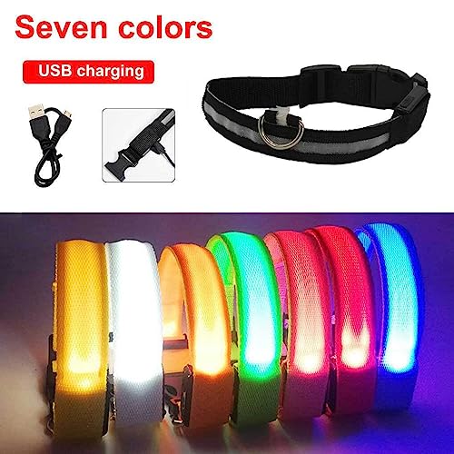 budiniao Haustier Halsband LED Haustier einstellbar Leuchtend Auto Anti verlorene Halsbänder Zubehör Sicherheit Wanderaktivitäten USB für Tag und Nacht, Wiederaufladbares Rosa, L von budiniao