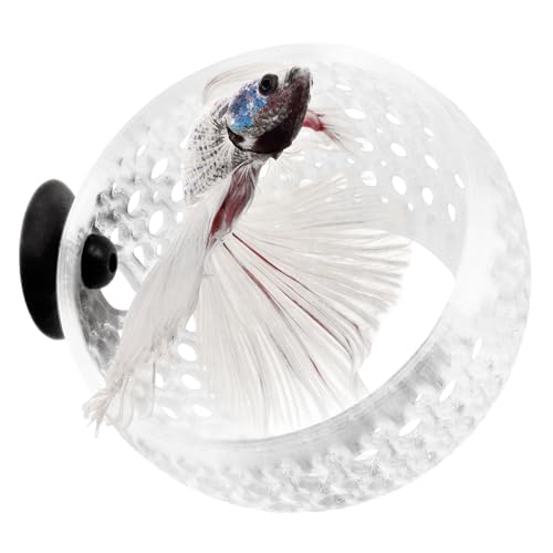 byMazy Betta Cave Lounge | Aquarium-Verstecken & Hängematte, zum Durchschwimmen für Betta, kleine Fische, Garnelen – Aquarium-Dekoration mit Pflanzenhalter (klares Weiß, mittel) von byMazy