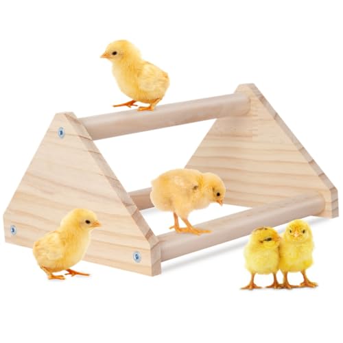 Küken-Sitzstange aus Holz, Trainings-Roosting Bar für Küken, Hühner-Fitness-Studio, Sitzstange für Stall und Broter, 20 x 17 x 10 cm von byepica