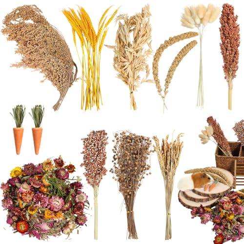 byepica Hamsterstreu mit natürlichen Kräutersprays, Getreide, Saatgut und Trockenblumen für syrische Zwergenrennmäuse, Meerschweinchen byepica Hamsterstreu mit natürlichen Kräutersprays, Getreide, Saatgut und Trockenblumen für syrische Zwergenrennmäuse, Meerschweinchen von byepica