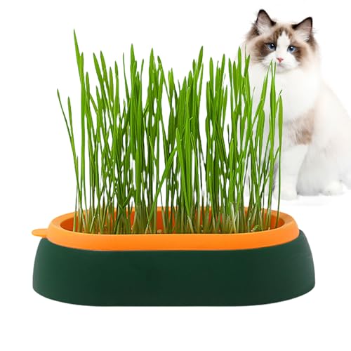 caits Gras-Pflanzgefäß für Katzen, Grasschale für Katzen, Hunde und andere Haustiere, drinnen und draußen, für Sprossen, Zubehör für Haustiere von caits