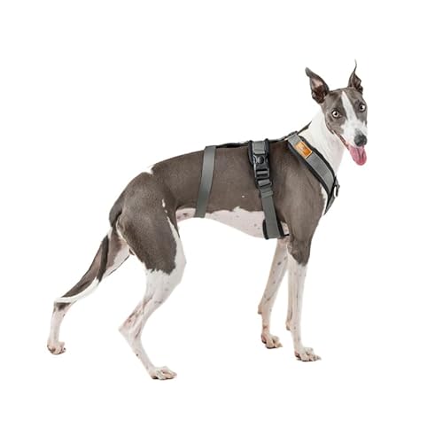 3-Punkt-Gurt mit Anti-Ziehen, ideal für Lebreles: Italienischer Windhund, Whippet, Windhund, Podenco - sicher, atmungsaktiv und langlebig, perfekt zum Wandern, Training und Laufen, Anthrazit, S von candyPet