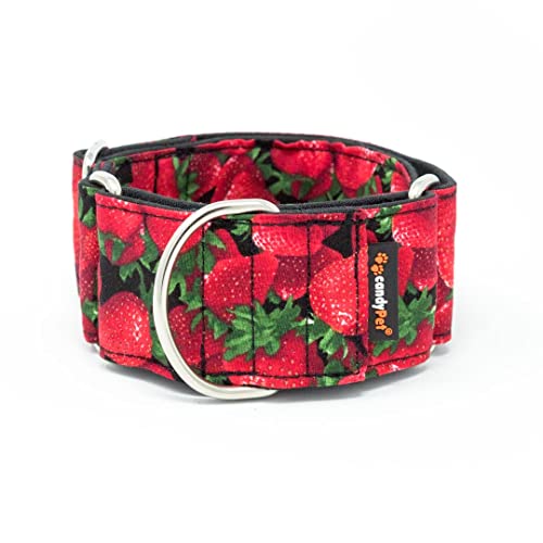 candyPet® Martingale Dog Collar - Strawberries, S von candyPet