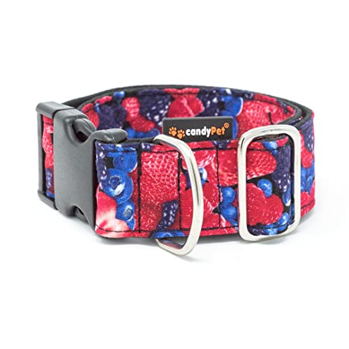 CandyPet Hundehalsband Click – Modell Obst des Waldes von candyPet