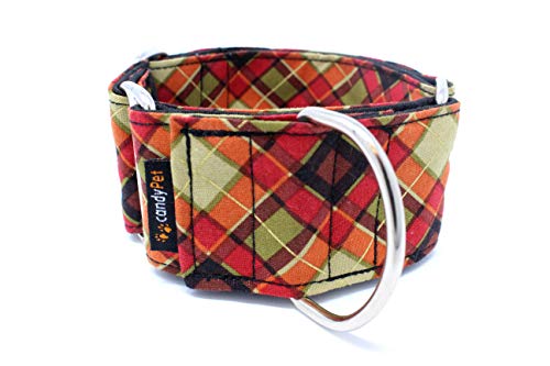 candyPet® Martingale Dog Collar - Scottich Model, M von candyPet