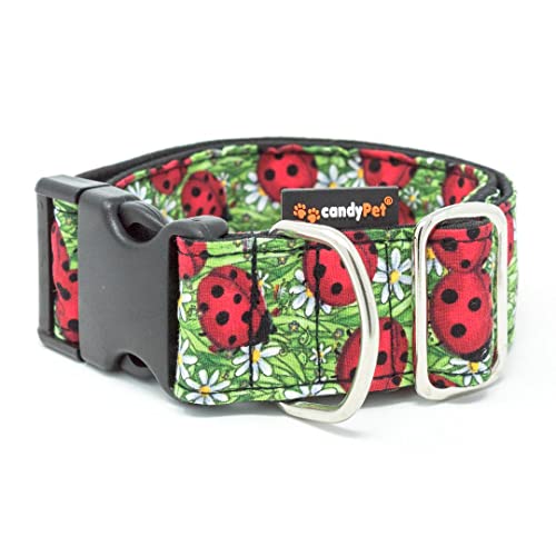 candyPet® Click Dog Collar - Ladybugs von candyPet