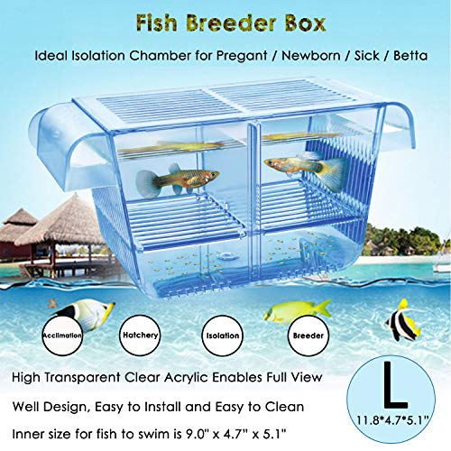 capetsma Fischzuchtbox, Acryl-Fischisolationsbox mit Saugnäpfen, Aquarium-Acclimation, Brutapparat für Babyfische, Garnelen, Clownfische und Guppy von capetsma