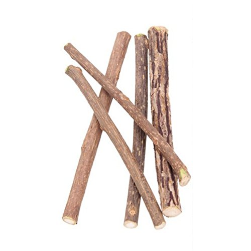 casstaly 5 Stück Katzen-Snacks Actinidia Polygama Natur für Haustiere Pflegespielzeug Molarfutter Katzenminze casstaly 5 Stück Katzen-Snacks Actinidia Polygama Natur für Haustiere Pflegespielzeug Molarfutter Katzenminze von casstaly