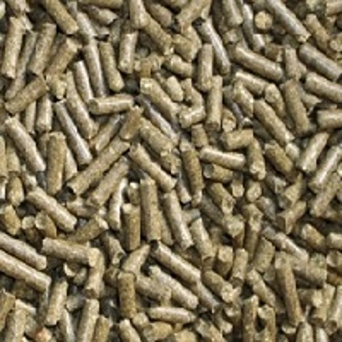 Karottensticks (Karotte Kräuter) 50g Pellets für Garnelen Krebse Schnecken & Co Futtersticks von Catappa-Leaves