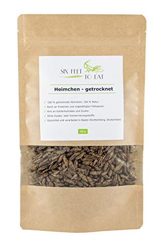 Essbare Grillen 30 g - essbare Insekten - Insekten zum Kochen und Essen - Speziell für den menschlichen Verzehr gezüchtet und in zertifizierter Produktion hergestellt - Pur oder gewürzt als Snack von catch-your-bug