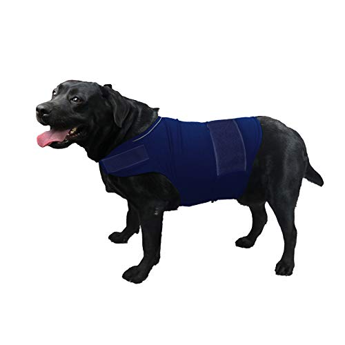 Donnerjacke für Hunde, beruhigende Weste, Donnerjacke, Hunde-Shirt für Donnerhunde, Angstlinderung (XL, Marineblau) von cattamao