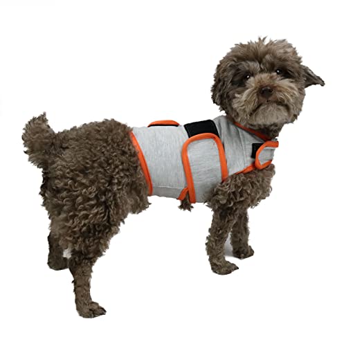 cattamao Comfort Hunde-Weste zur Linderung von Angstzuständen, für Gewitter, Reisen, Feuerwerk, Tierarztbesuche, Trennung, Hellgrau + Orange S von cattamao