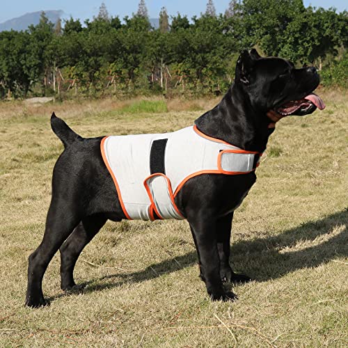 cattamao Comfort Hunde-Weste zur Linderung von Angstzuständen, für Gewitter, Reisen, Feuerwerk, Tierarztbesuche, Trennung, Hellgrau und Orange, Größe L von cattamao