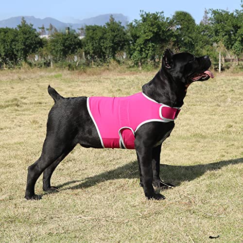 cattamao Hundemantel zur Linderung von Angstzuständen, beruhigende Weste für Gewitter, Reisen, Feuerwerk, Tierarztbesuche (Größe L, Rosa) von cattamao