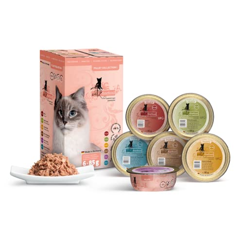 catz finefood Katzenfutter nass Mix-Paket - feine Filets in Jelly - getreidefreies Nassfutter für Ihre Katze ohne Zucker - Katzennassfutter vom Feinste in Gelee, 6 x 85g von catz finefood