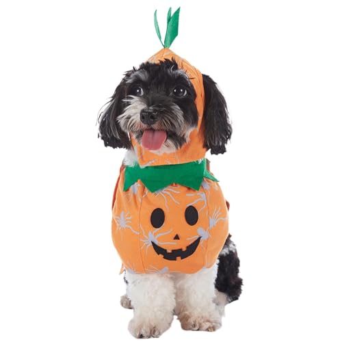 Dog Halloween Costume, Pumpkin Dog Costume, Funny Dog Clothes, Halloween Pet Apparel for Pets, Indoor, Present, Pet Cosplay Outfit, Pumpkin Cat Costume, Dogs Accessories von ccuzs