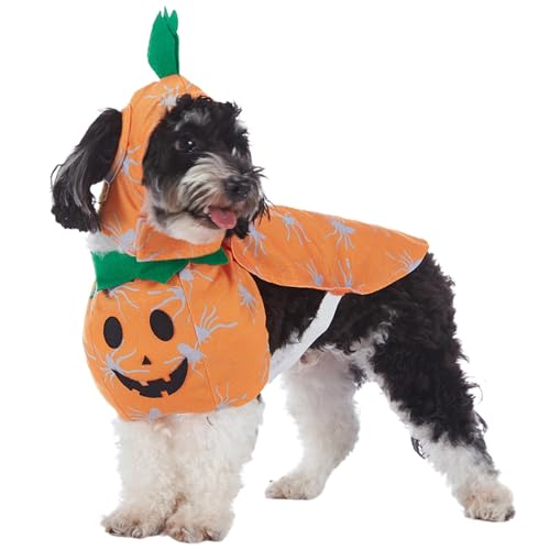 Dog Halloween Kostüm, Pumpkin Dog Costume, Funny Dog Clothes, Halloween Pet Apparel for Pets, Indoor, Present, Pet Cosplay Outfit, Pumpkin Cat Kostüm, Dogs Accessories von ccuzs