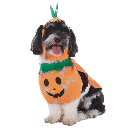 Dog Halloween Kostüm, Pumpkin Dog Costume, Funny Dog Clothes, Halloween Pet Apparel for Pets, Indoor, Present, Pet Cosplay Outfit, Pumpkin Cat Kostüm, Dogs Accessories von ccuzs