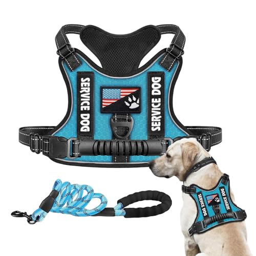 Dog Harness, Dog Vest, Dogs Hunting Harness, 1-2cm Adjustable Pet Vest With Soft Padding, Easy-Control Dogs, Medium And Large, Buckles Handle, Ensuring Durability Activities von ccuzs