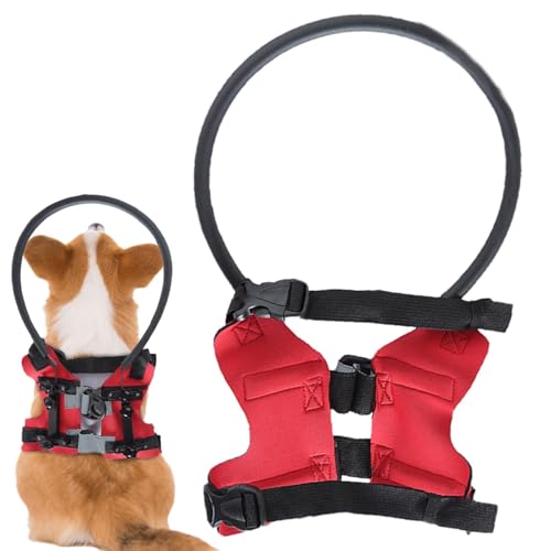 Product Size: Diameter About 8.66 inches, Blind Dog Bumper, Lightweight Adjustable Training Safety Comfortable, Anti-Collision Rings Device, Protective Pet Collar for Home von ccuzs