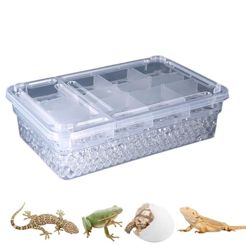 Turtle Breeding Box, 20 Grids Pet Incubation Box, Small Container for Snakes, Lizards, Reptiles & Geckos, Compact and Space-Saving for Safe Egg Incubation and Reptile Care von ccuzs