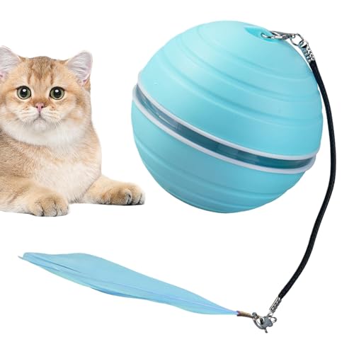 ccuzs Interactive Cat Ball Toy, Rechargeable Self-Rolling Cat Toy, Automatic Pet for Small Medium Large Cats, Fun Movement, Rechargeables Design (1 Pack), for Indoor 6.6x6.6cm von ccuzs