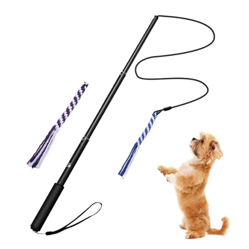 ccuzs Outdoor Dog Flirt Pole, Interactive Pet Teaser Stick, Portable Puppy Chewing Toy, Detachable Rope Tugs, Sturdy Outdoor Play & Lightweight, Ideal for Training & Exercise, Fun for Dogs von ccuzs