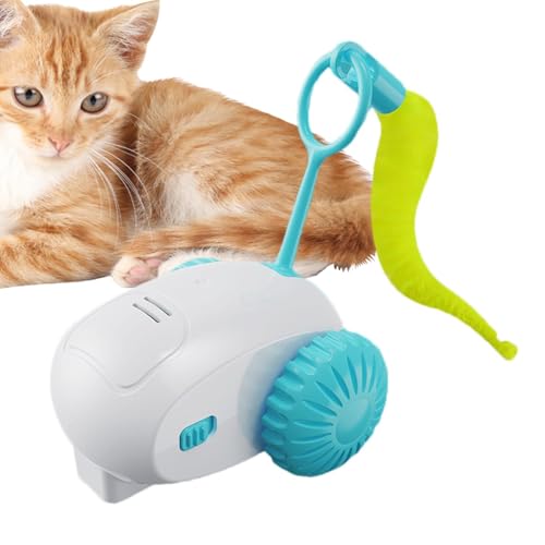 ccuzs Remote Control Cat Toy, Rechargeable Moving Cat Toys, Cat Toy with 2 Speed Adjustment, Indoor Cats Play Toy with Speed Settings 2.76x2.56x3.54 for Bored Indoor Cats (Blue, Orange, Gray) von ccuzs